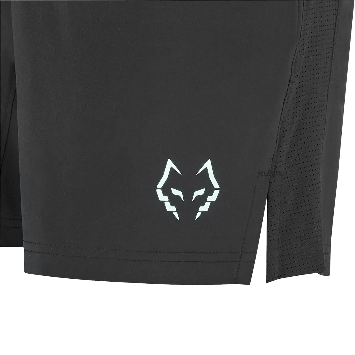 Babolat Shorts Lebron 2026